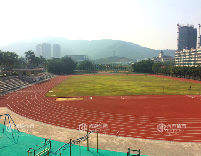 广东塑胶体育跑道厂家排名,AIFA体育